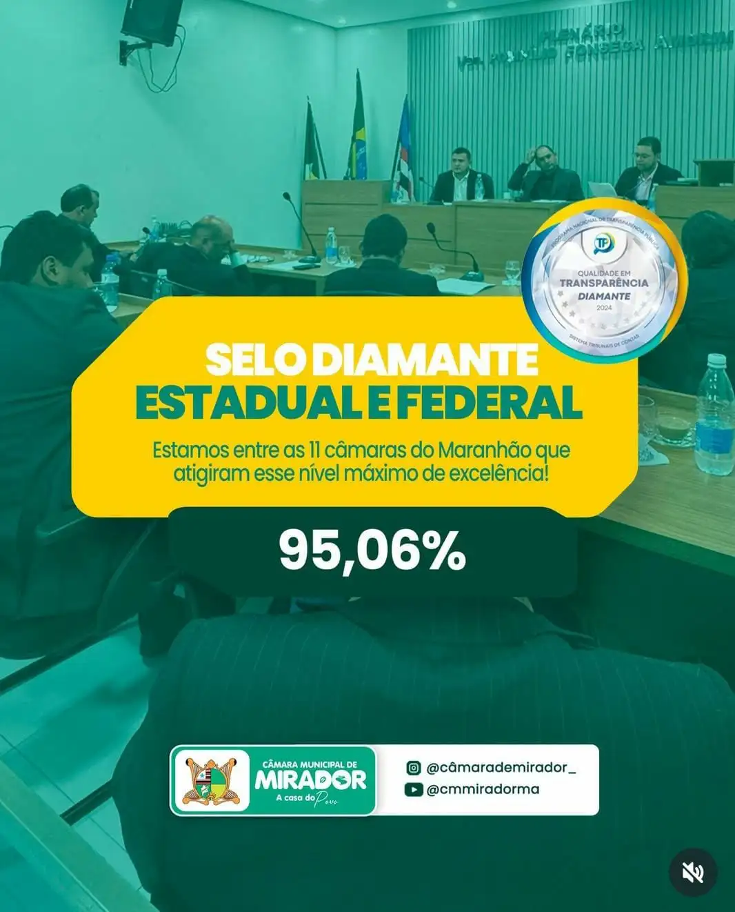 SELO DIAMANTE ESTADUAL E FEDERAL